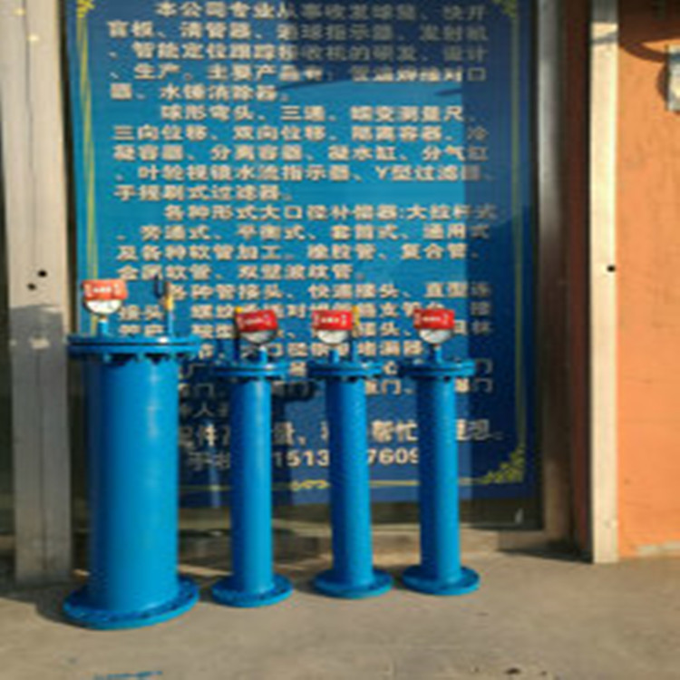 厂家供货水锤消除器 吸纳器   质量保证