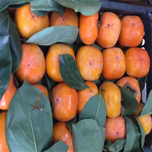 ��������� ��S����������r�� һ�����������������l