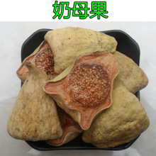 ��ĸ�� ľ�z�^ ���Z��  ��ĸ�� ����  ���۹� ţ�� ��ș�� ţ����