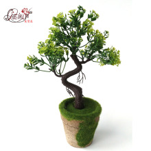 ����С�辰 �߷���С�ɘ� �Lˮ�[���Ҿ��b� ӭ�����辰�ؔ���Ʒ