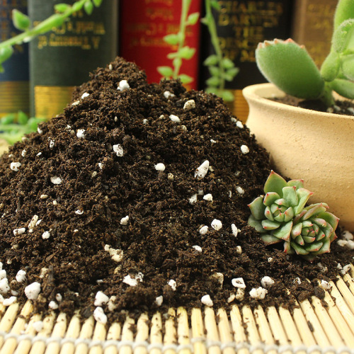 Succulent nutrient soil, planting soil, peat soil, large package flower soil, flower growing soil, potting soil, fertilizer soil