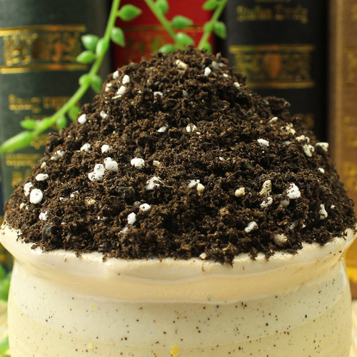 Succulent nutrient soil, planting soil, peat soil, large package flower soil, flower growing soil, potting soil, fertilizer soil