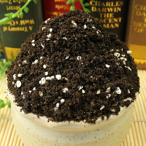 Succulent nutrient soil, planting soil, peat soil, large package flower soil, flower growing soil, potting soil, fertilizer soil