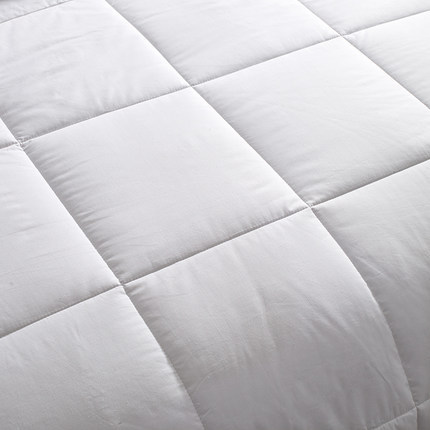 Hotel winter quilt core imitation goose down residential Star hotel bedding feather velvet quilt White Four Seasons