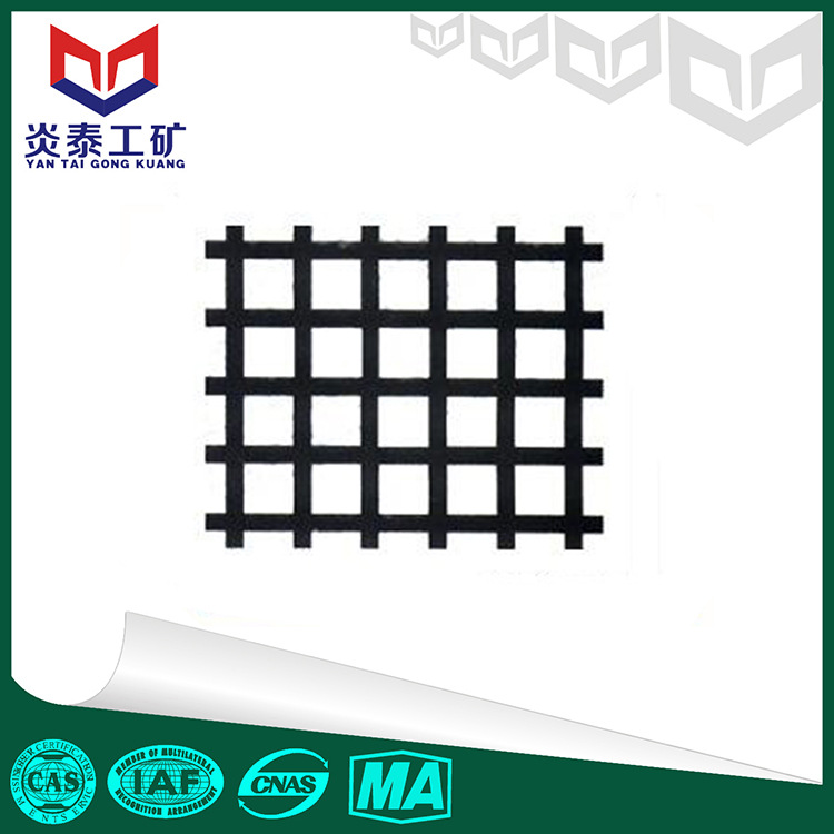 山东炎泰供应钢塑土工格栅 路基防护格栅网双向格栅网