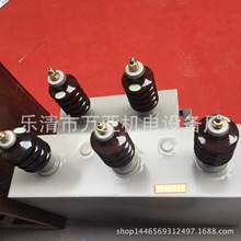 �S��ֱ�N BFM3.3-50-3W ����߉��K�������� BWF3.3-100/3