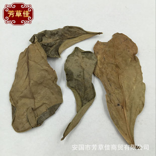 ���l�䱳��ș����Ú�~ �����~ �����~ ��ζ�~ ţ���~��؛����ă�