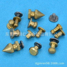 SֱNᔡʽNᔡ^ᔡ؛׼r