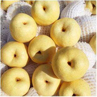 ��������������rѩ���������ˮ��ֱ�l���۶�֭ؕ��Fժ