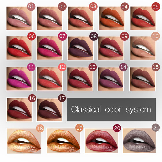 Cross-border explosions Pudaier21 color matte matte liquid lipstick foreign trade lip gloss lip gloss does not fade lip glaze
