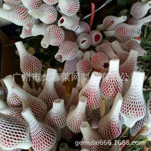 �S�ҬF؛����õ�廨�l�ݾW�� ������ĭ���� �r���Ӻ��o��