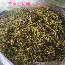 产地直供黄金桂茶梗青梗山密草花茶配料茶枝一件代发