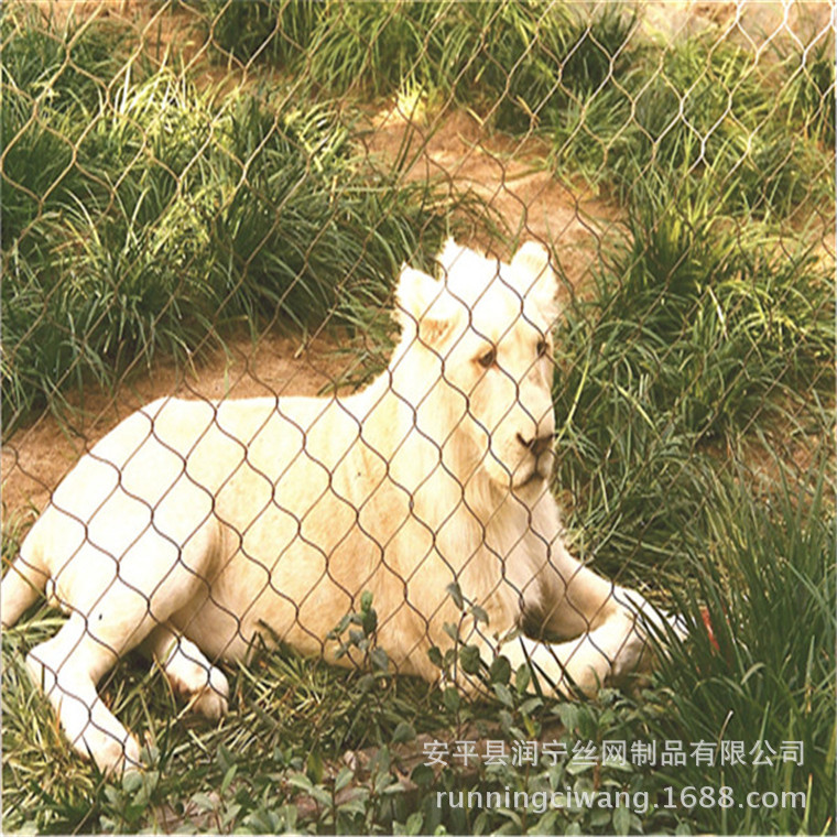 欧洲动物园柔性护卡扣316鸟网围栏