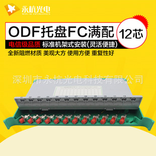 ������� ODFһ�w���бP12о���w���w�P �M�京β�w�����