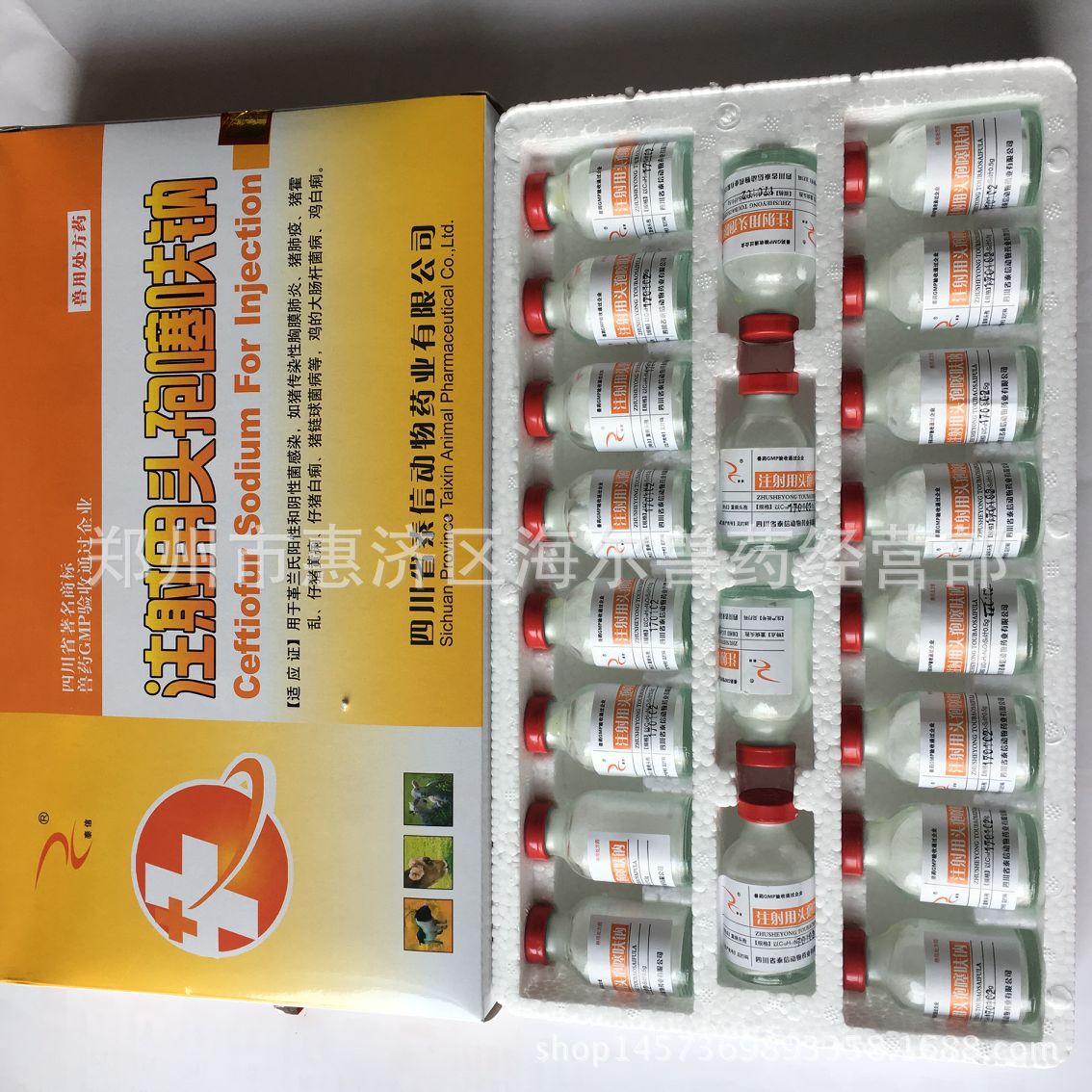 直销头孢粉针注射用头孢噻呋钠粉针兽药头孢噻呋钠猪马牛