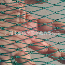 �S���N��ȫ���ϼ����Bֳ���ھW �X�~�Bֳ�W�����ϩ�Bֳ�W