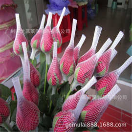 套花蕾的网 玫瑰花鲜网套 花蕾防护发泡套 现货低价促销