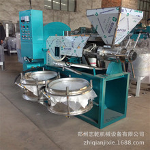 榨油机 商用大型 多功能螺旋榨油机 新型大豆榨油机 农村创业设备