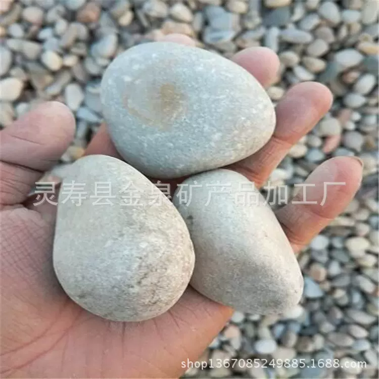 供应鹅卵石机制公园铺路鹅卵石抛光石各种装饰石子大量沙石