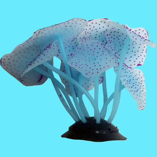 ����ˮ���b���ɺ��ܛ�z��Ʒ�~���쾰�b�SH001  �S�����l