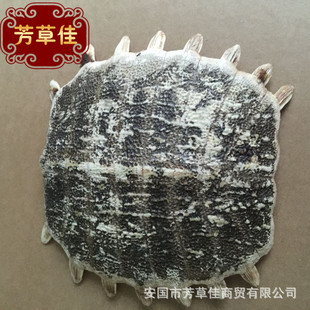 ���l��ș���M��  �F�~�w �_�~�� �ϼ� ���~