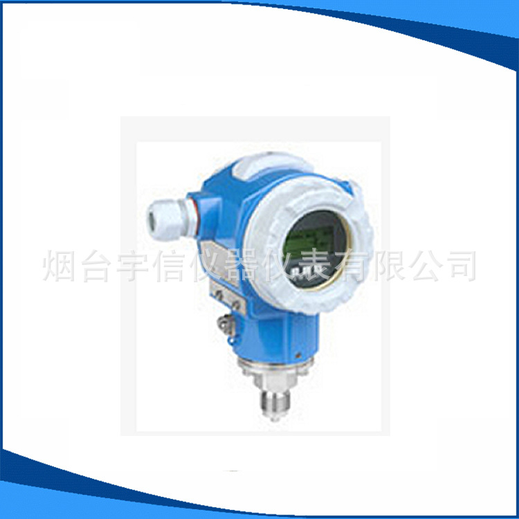 德国E+H恩德斯豪斯PMC51-AA21RA1MGBGVJA压力变送器传感器原厂