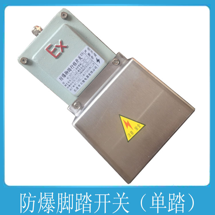 BJT防爆脚踏开关5A 防爆踏板开关220V/380V BXK58厂家DLXK-DYT-D