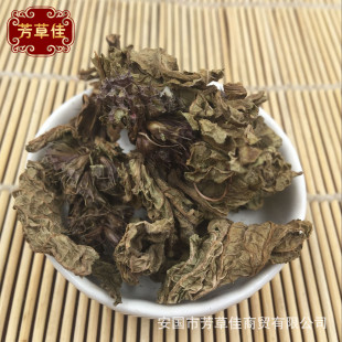 ���l�䱳��ș�Ī�һζ ��� �򲼰�