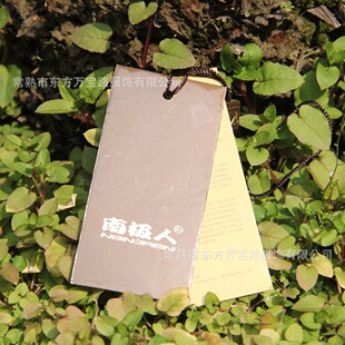 �����N�� �·�ţƤ�����ϒ���Ů�b���Ƶ����˺� ���b����