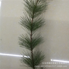 10���׷�����ᘗl  �}�Q�b�ˇƷ���컨���� �}�Q���b����