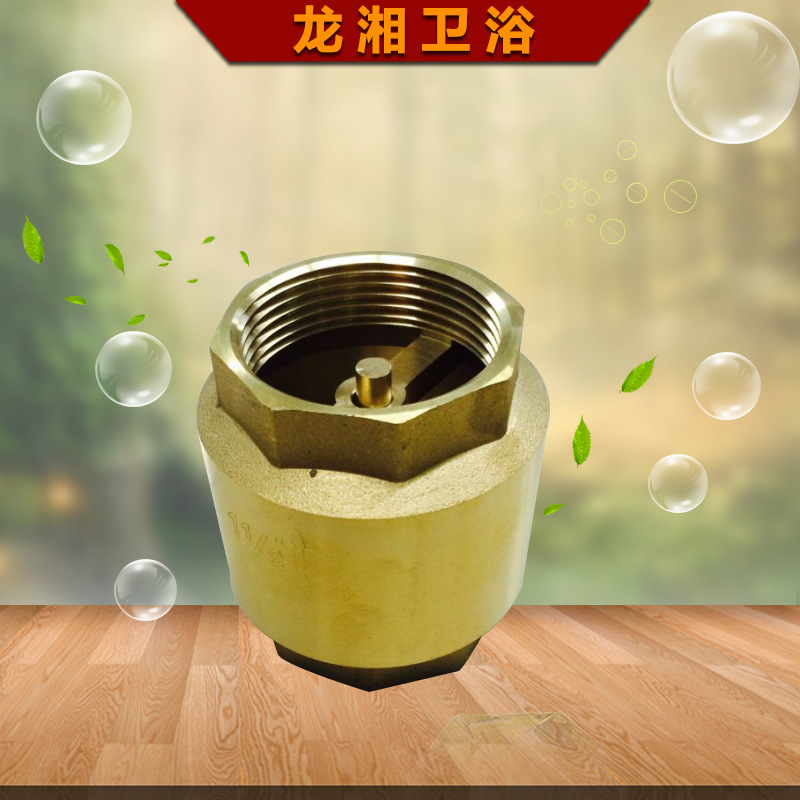 厂家直销外贸出口南美非洲中东黄铜立式止回阀 .卧式过滤网止回阀