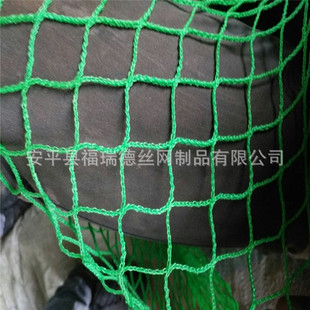 ���ш@���Ϸ��B�W���a�S�����l