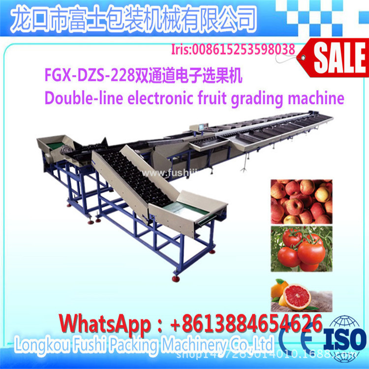 富士 电子选果机 苹果梨水果分选机 电脑分选设备