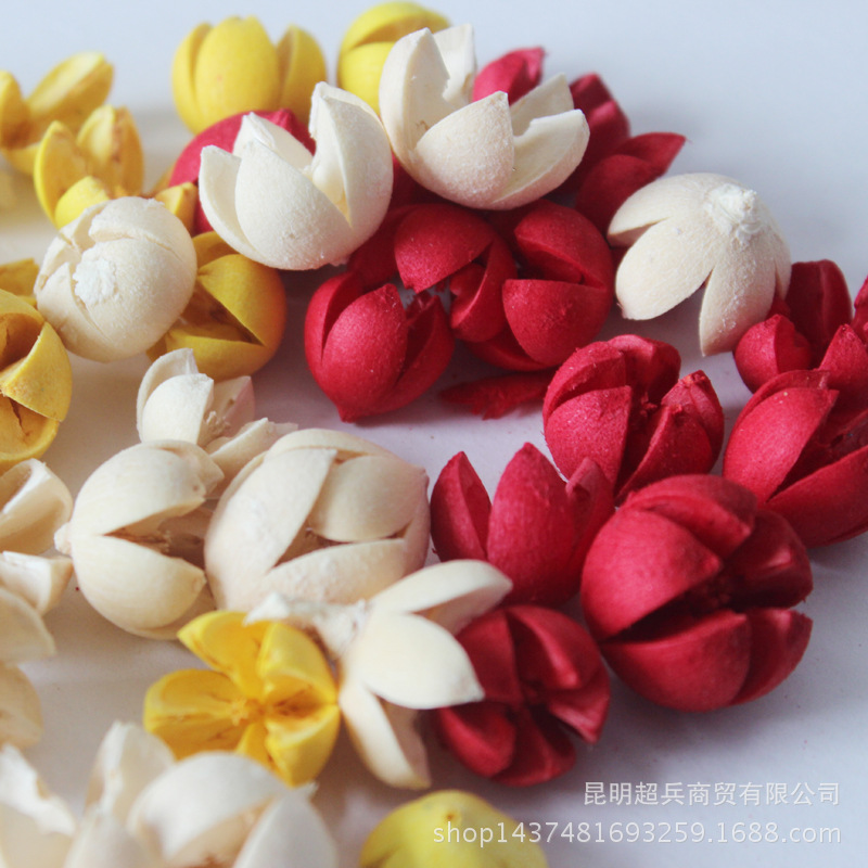 [En vrac pistache pesage] Matériel de fleurs séchées fruits croisés pistache