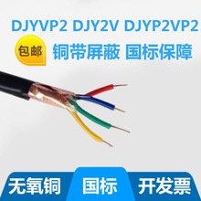 廠家供應計算機電纜ZR-DJYPVP22-4*3*1國標足米