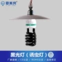 螺旋土狗知了黑光灯