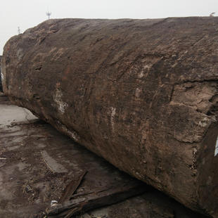 ���Ҹ�ľ�� �ͻ� �W�� ɳ���� ����ľ �t���� �r�񃞻�