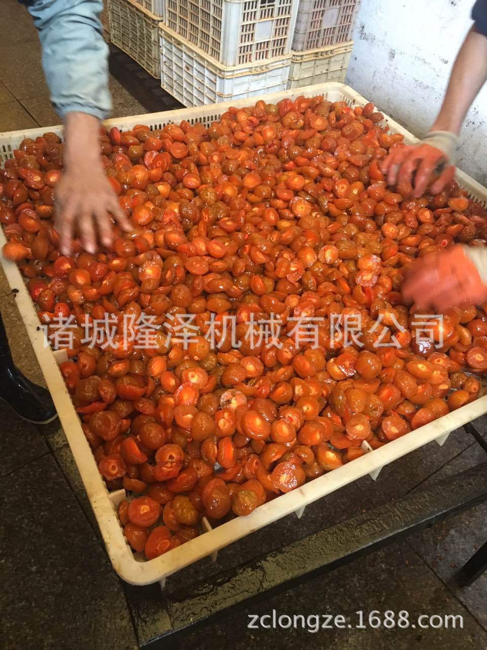 糖渍苹果丁 抽真空锅 蜜饯浸糖生产线设备