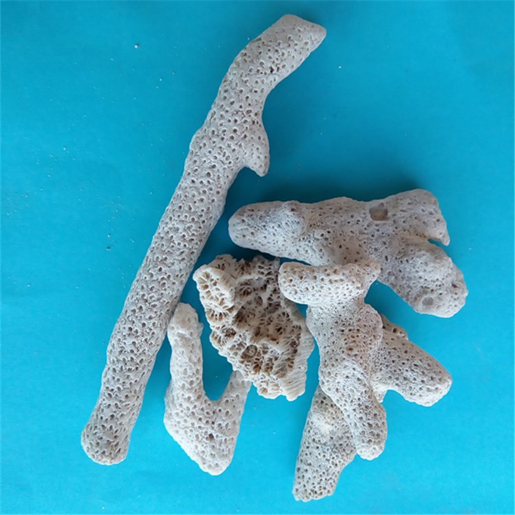 厂家销售珊瑚石 珊瑚骨   珊瑚砂 水族造景用白色珊瑚石 吸附性好