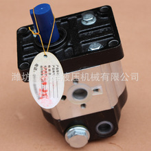 齿轮泵厂家 液压齿轮油泵 各种型号不锈钢小型液压齿轮泵现货