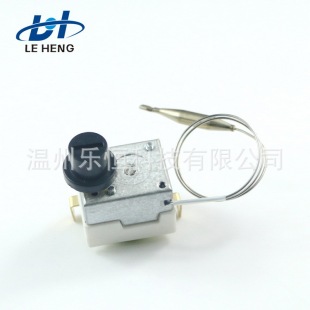 50-300℃ 燃氣壓力炸鍋商用 炸雞爐燃氣油炸鍋高壓炸爐溫控器WHD