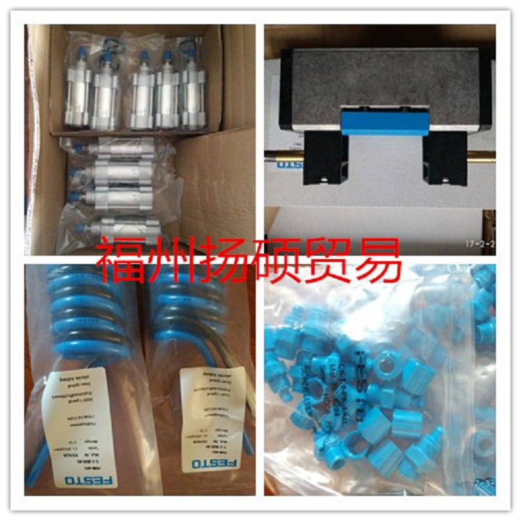 费斯托 MS9-LFM-3/4-BUV-HF-DA	精细过滤器	552978