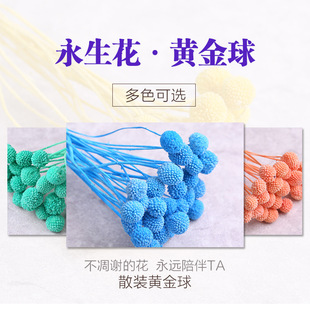 �S�����o�ĸɻ������ϰ�����������diyõ�廨��ĶY���b