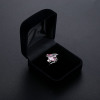 Fashionable advanced velvet swan, black ring, storage system, accessory, gift box, Amazon, high-quality style, wholesale