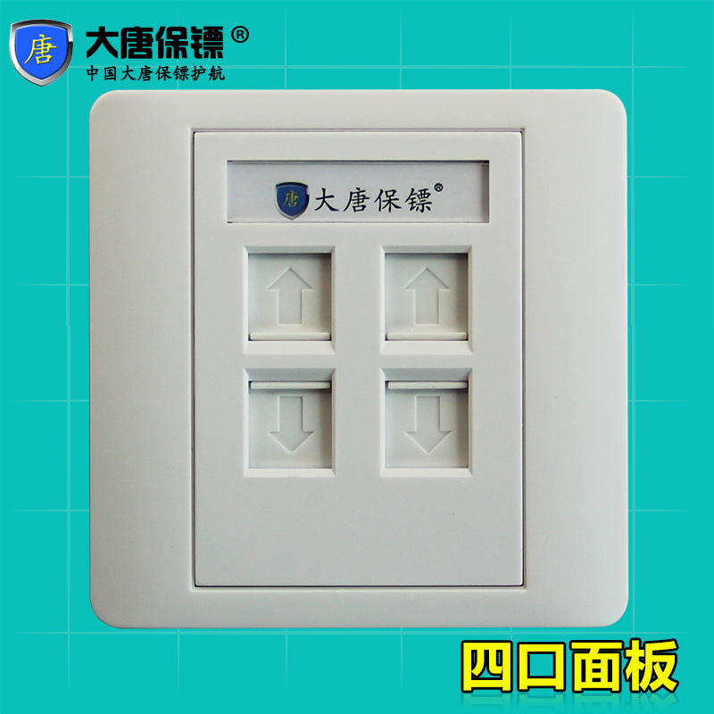 大唐保镖 DT2801-4 大唐 网络模块 面板 电话 网络面板 四口 86