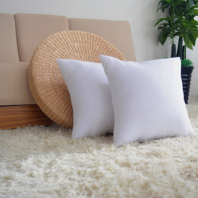 Hold pillow,Cushion cores,Pillow core source Manufactor comfortable soft