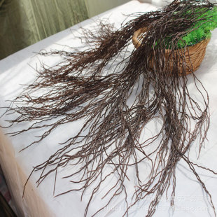 ��� ���� �tɽ�� �ٗl �b��� �������