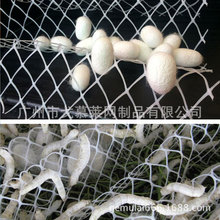 �S�ҬF؛�����Q�����Y�O�W �Bֳ��������ƽ�W �B�Q�ۏ����ϾW��ɫ