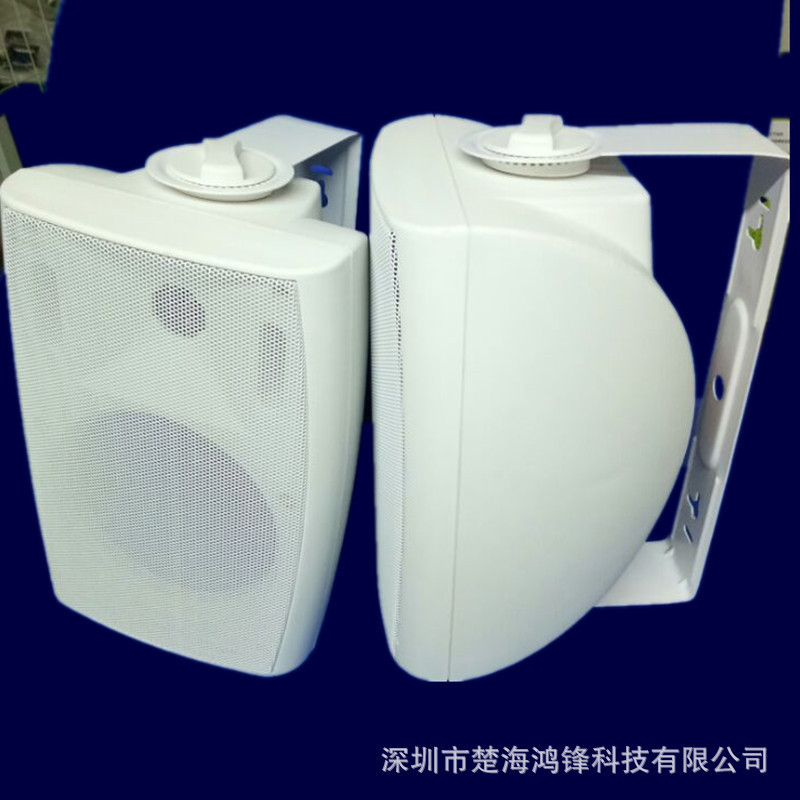 Chuhai Hongfeng 6.5 inch unit high fidelity steering wall speaker background music speaker speaker wholesale Chuhai Hongfeng 6.5 inch unit high fidelity steering wall speaker background music speaker speaker wholesale