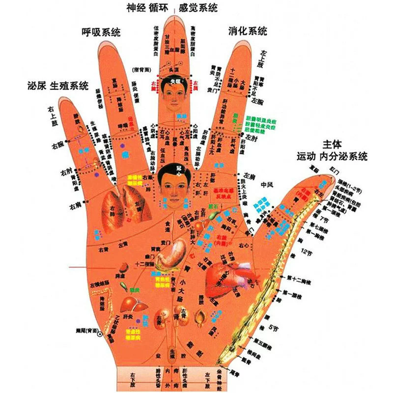 Massager for hands for elderly, equipment for training